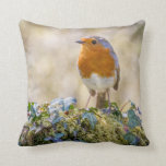 Robin Kissen mit zwei schönen Fotos<br><div class="desc">Robin Kissen mit zwei schönen Fotos. Robinen sind einer der beliebtesten Gartenvögel in Großbritannien. Ideal für alle Liebhaber von Wildtieren und Vögeln.</div>