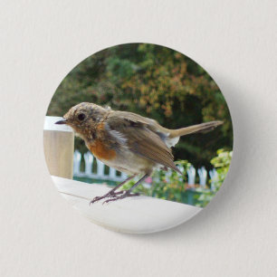 Robin-Knopf-Abzeichen Button