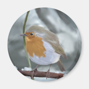 Robin-Magnet Magnet