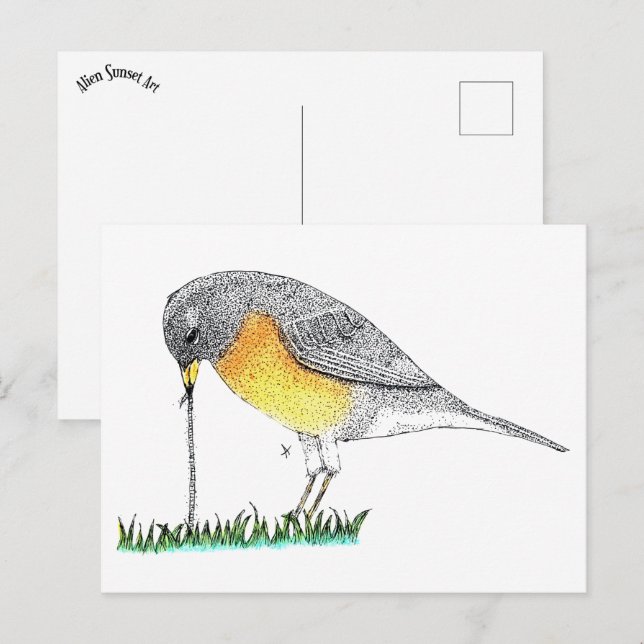 Robin mit Worm Postkarte (Vorne/Hinten)