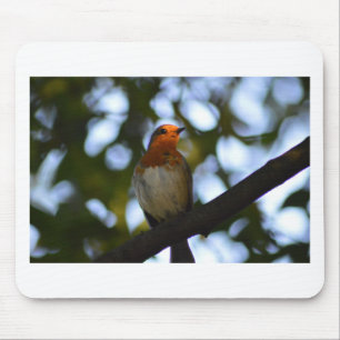 Robin Mousepad