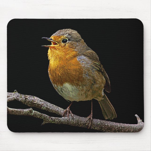 Robin Mousepad (Vorne)
