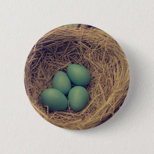 Robin Nest and Eggs Button