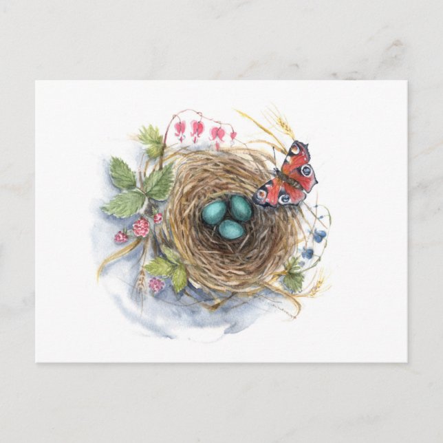 Robin Nest Postkarte (Vorderseite)