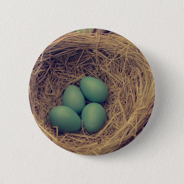 Robin Nest und Eier Button (Vorderseite)