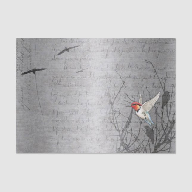 Robin nimmt Flight Seidenpapier (Vorderseite)