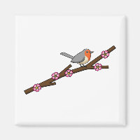 Robin on Sakura