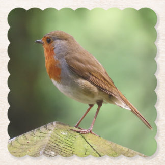 Robin Paper Untersetzer