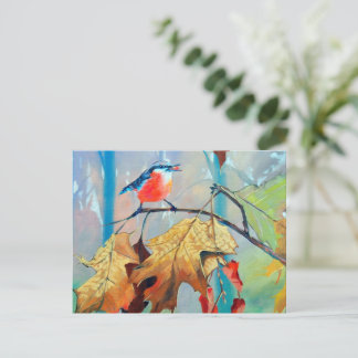Robin Postcard Postkarte