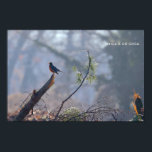 Robin Poster<br><div class="desc">Robin on a broken branch</div>