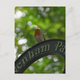 Robin Postkarte