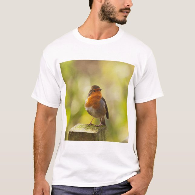 Robin red breast bird T-Shirt (Vorderseite)