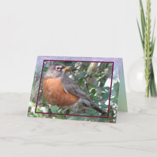 Robin Red Breast Card Karte