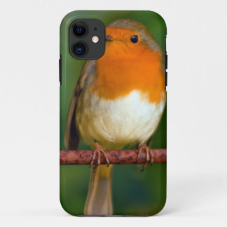 Robin Red Breast Case-Mate iPhone Hülle