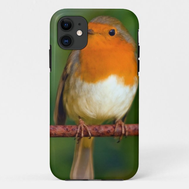 Robin Red Breast Case-Mate iPhone Hülle (Rückseite)