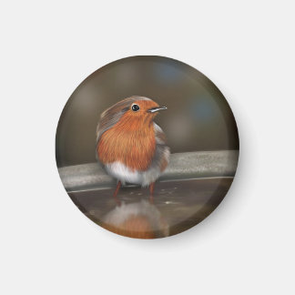 Robin Red Breast Enjoying a Bath Magnet