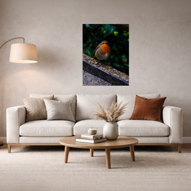 Robin  Red Breast Photo Print Poster (Von Creator hochgeladen)