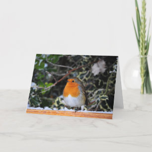 Robin RedBrustweihnachtskarte Feiertagskarte