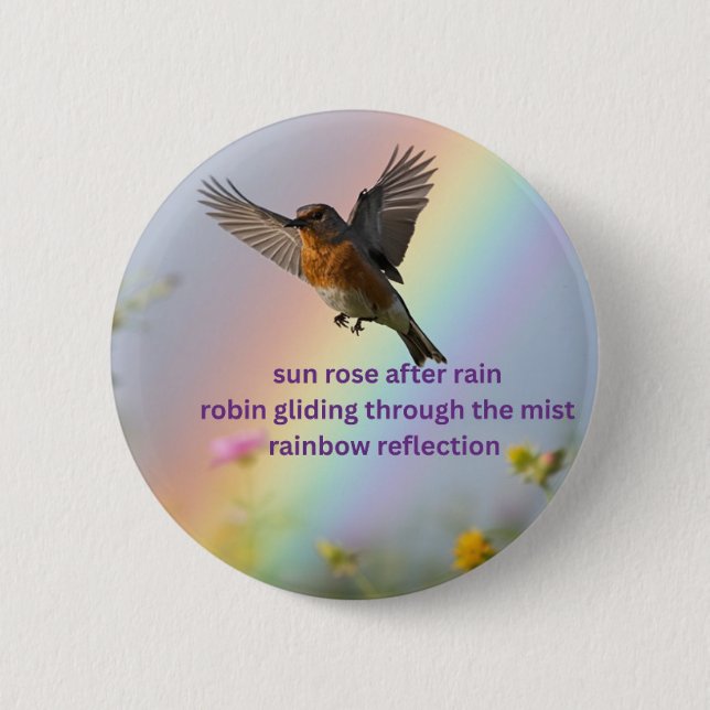 Robin Regenbogen Button (Vorderseite)