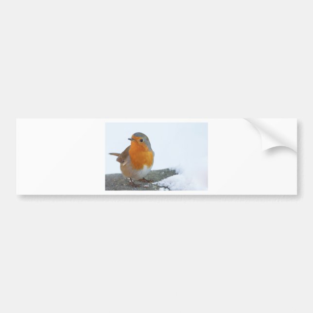 Robin-Rot-Brust Autoaufkleber (Vorne)