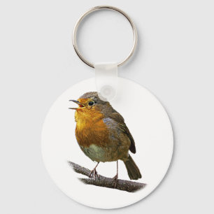 Robin-Schlüsselanhänger Schlüsselanhänger