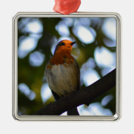 Robin Silbernes Ornament