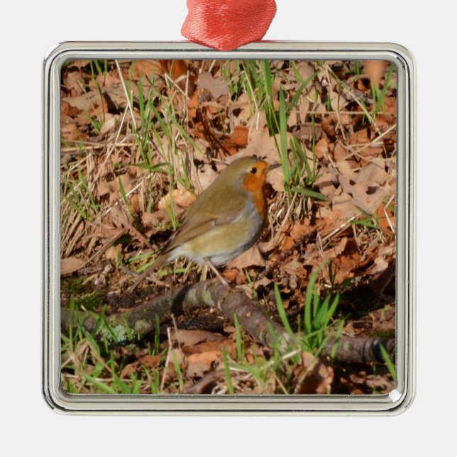 Robin Silbernes Ornament (Vorne)