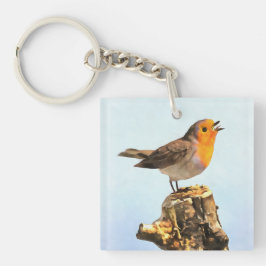 Robin singing  schlüsselanhänger