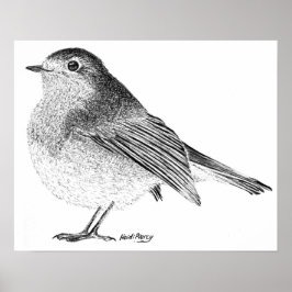 Robin Sketch Poster