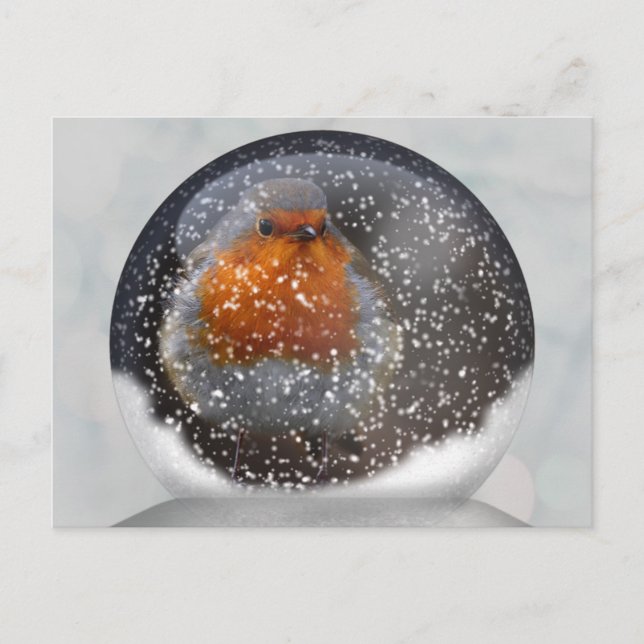 Robin Snowglobe Postcard Postkarte (Vorderseite)
