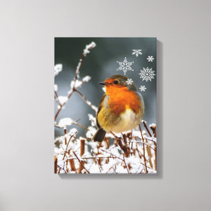 Robin Songbird  avec Flocons de Neige Impression s