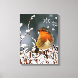 Robin Songbird  avec Flocons de Neige Impression s