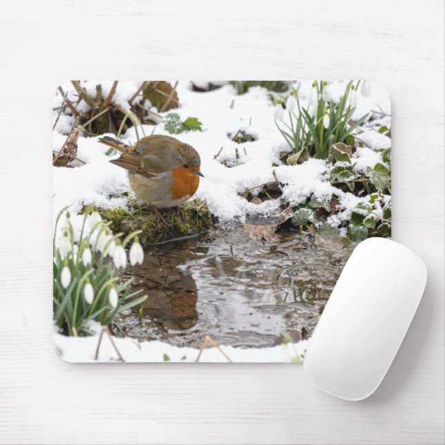 Robin Staring at its Reflection in Puddle Mousepad (Mit Mouse)