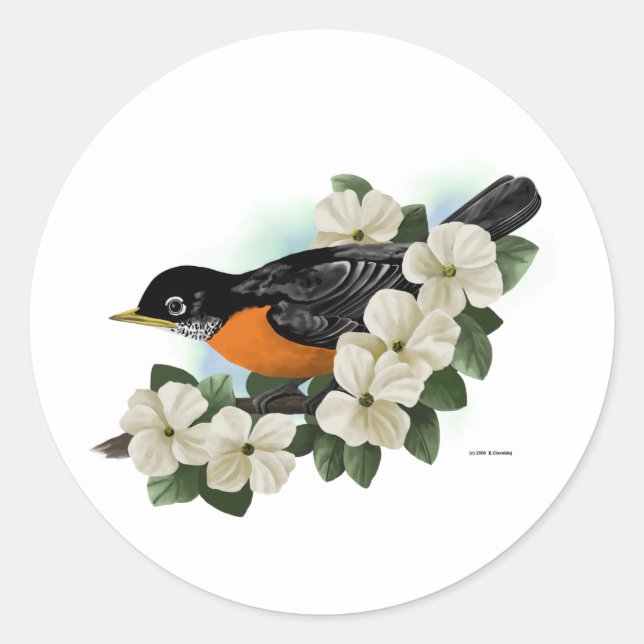 Robin Stickers (Vorderseite)
