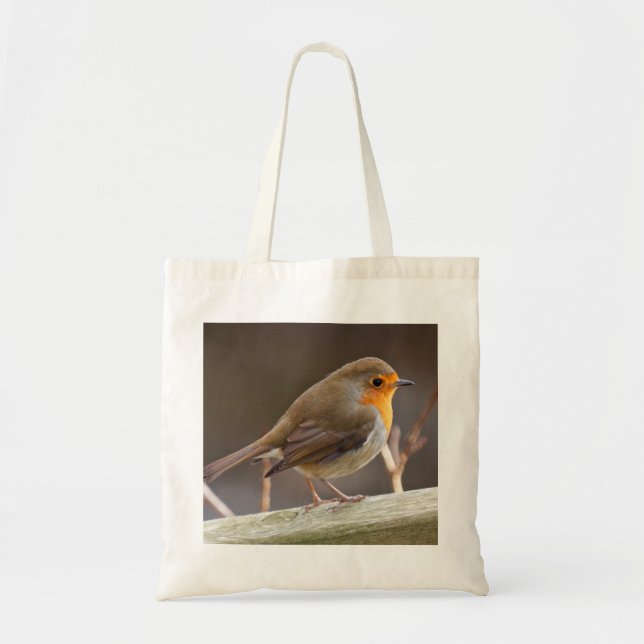 Robin sur un sac fourre-tout (Devant)