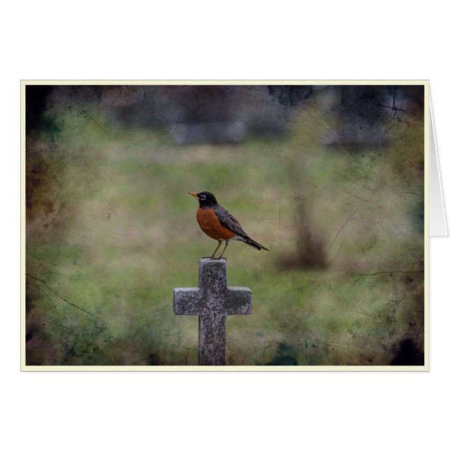 Robin sur une croix (Devant horizontal)