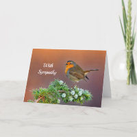 Robin Sympathy Card