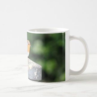 Robin Tasse