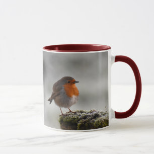 Robin Tasse