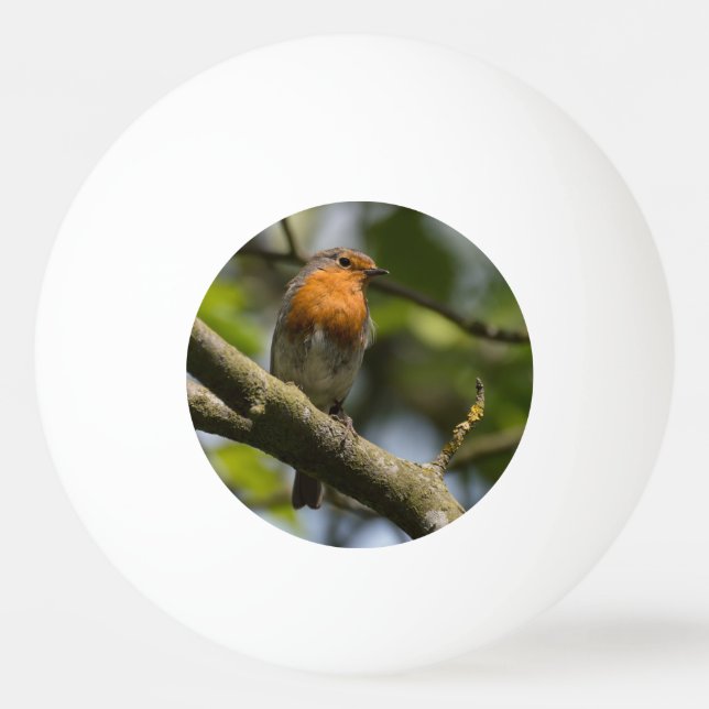Robin Tischtennisball (Vorderseite)