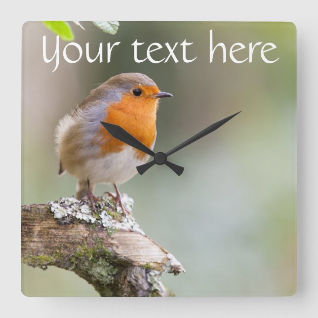 Robin Uhr fügen Sie Ihren eigenen Text hinzu (Vorderseite)