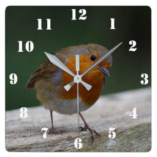 Robin-Uhr Quadratische Wanduhr