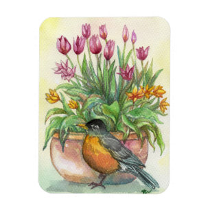 Robin und Tulips Magnet