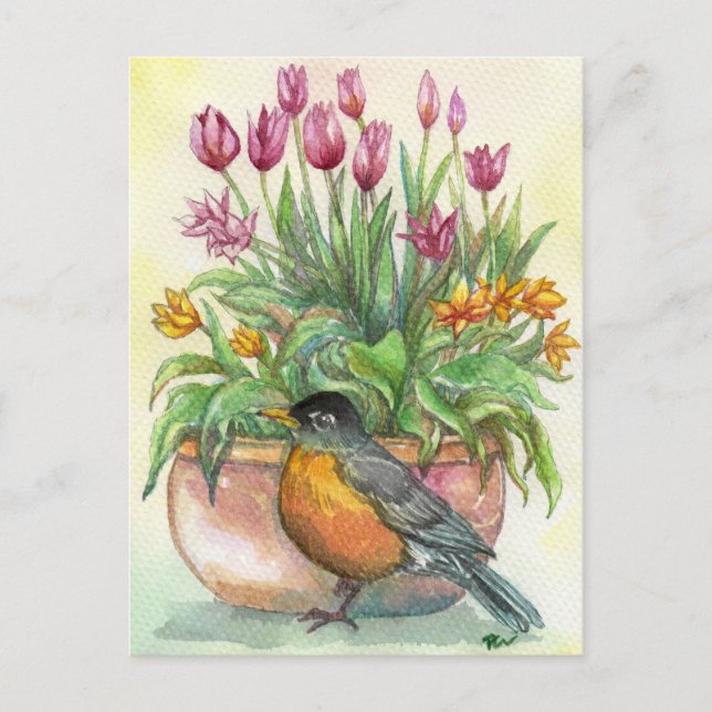 Robin und Tulips Postkarte (Vorderseite)