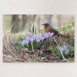 Robin unter Blume
