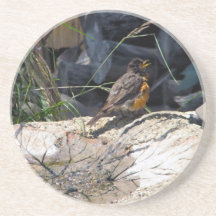 Robin-Untersetzer
