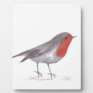 Robin-Vogel Fotoplatte