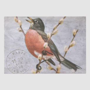 Robin-Vogel-Zweig-Französischer-Poststempel-Blau-D Seidenpapier