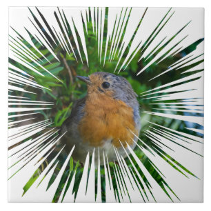 Robin-Vogelansicht Keramik Fliese