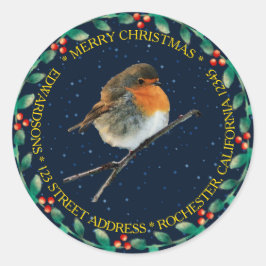 Robin-Vogelfamilie Merry Christmas heilig Runder Aufkleber